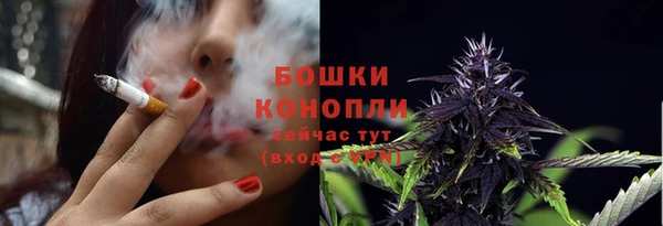 спайс Баксан