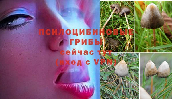 прущий лед Балабаново