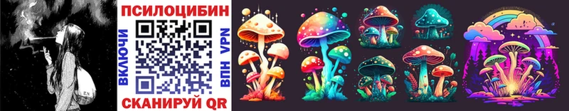 как найти закладки  Болохово  Галлюциногенные грибы Magic Shrooms 