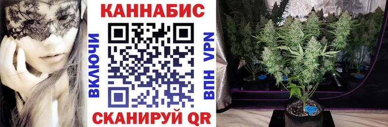 Шишки марихуана Amnesia  Болохово 